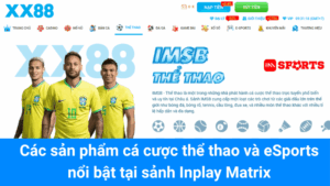 Các sản phẩm cá cược thể thao và eSports nổi bật tại sảnh Inplay Matrix