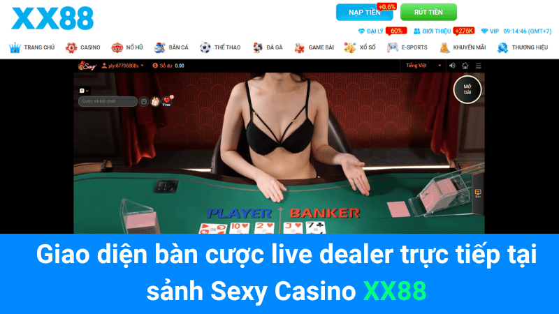 Giao diện bàn cược live dealer trực tiếp tại sảnh Sexy Casino XX88
